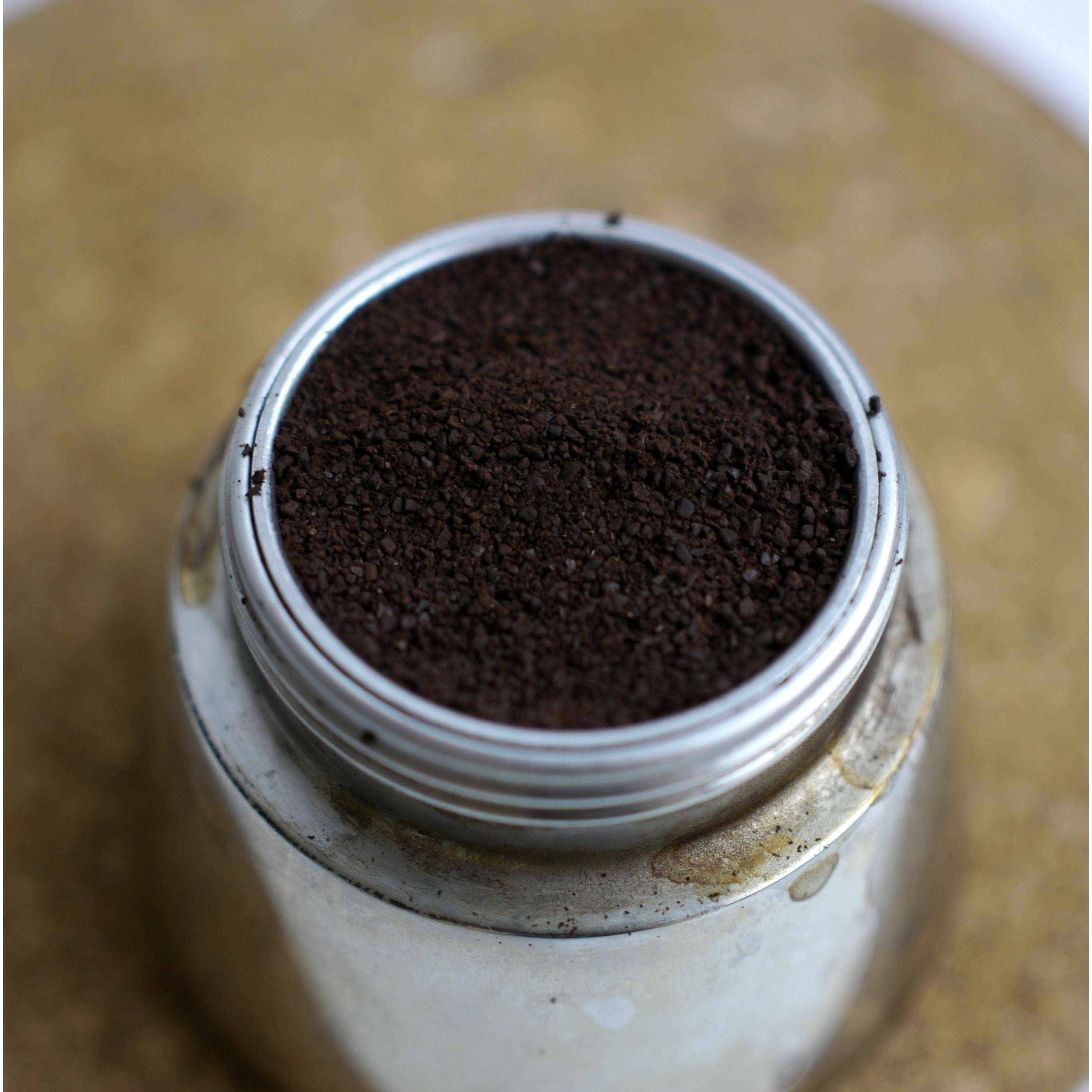 FRESH CUP FLUTES 12 PACK