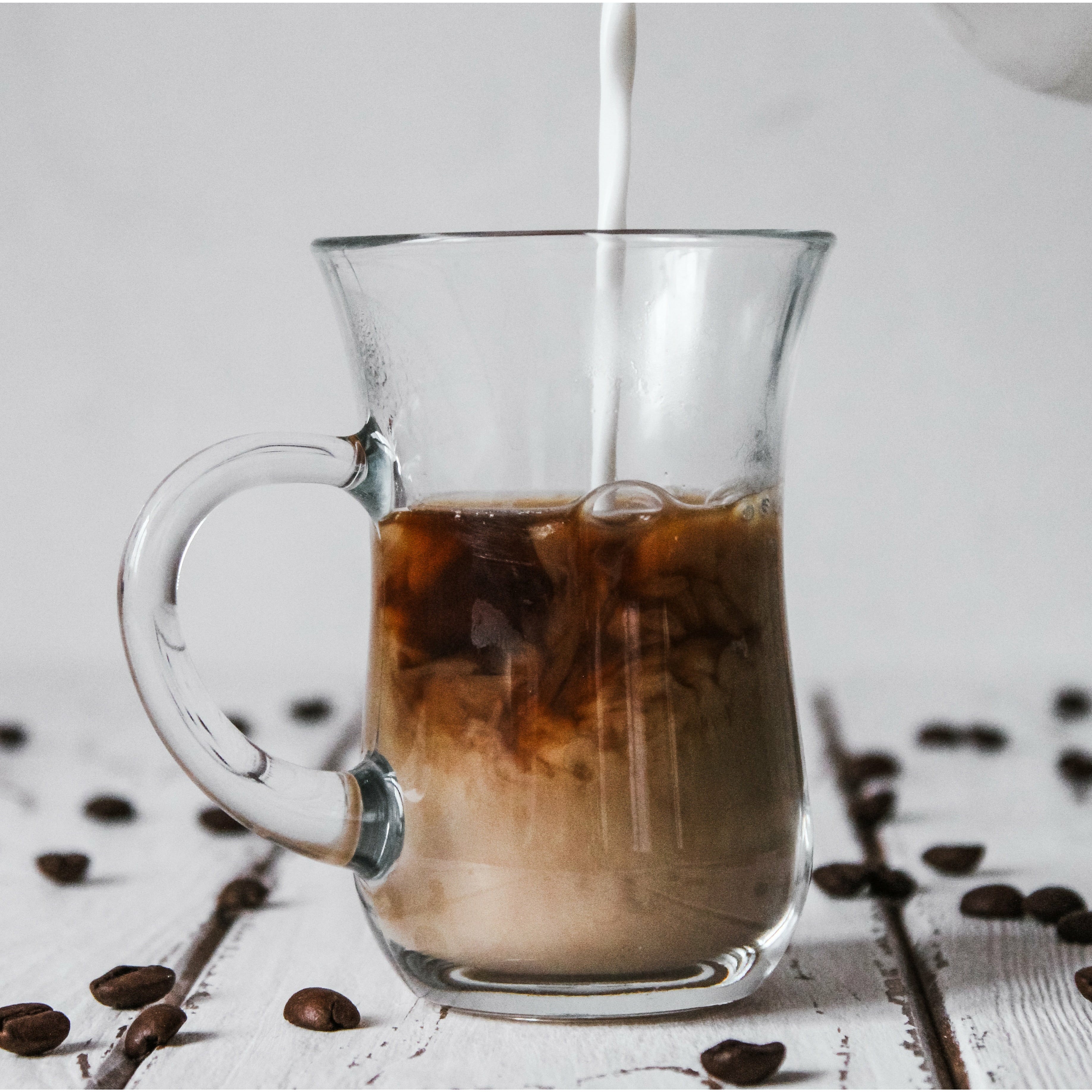 FRESH GROUND CUP FILTER 12 PACK