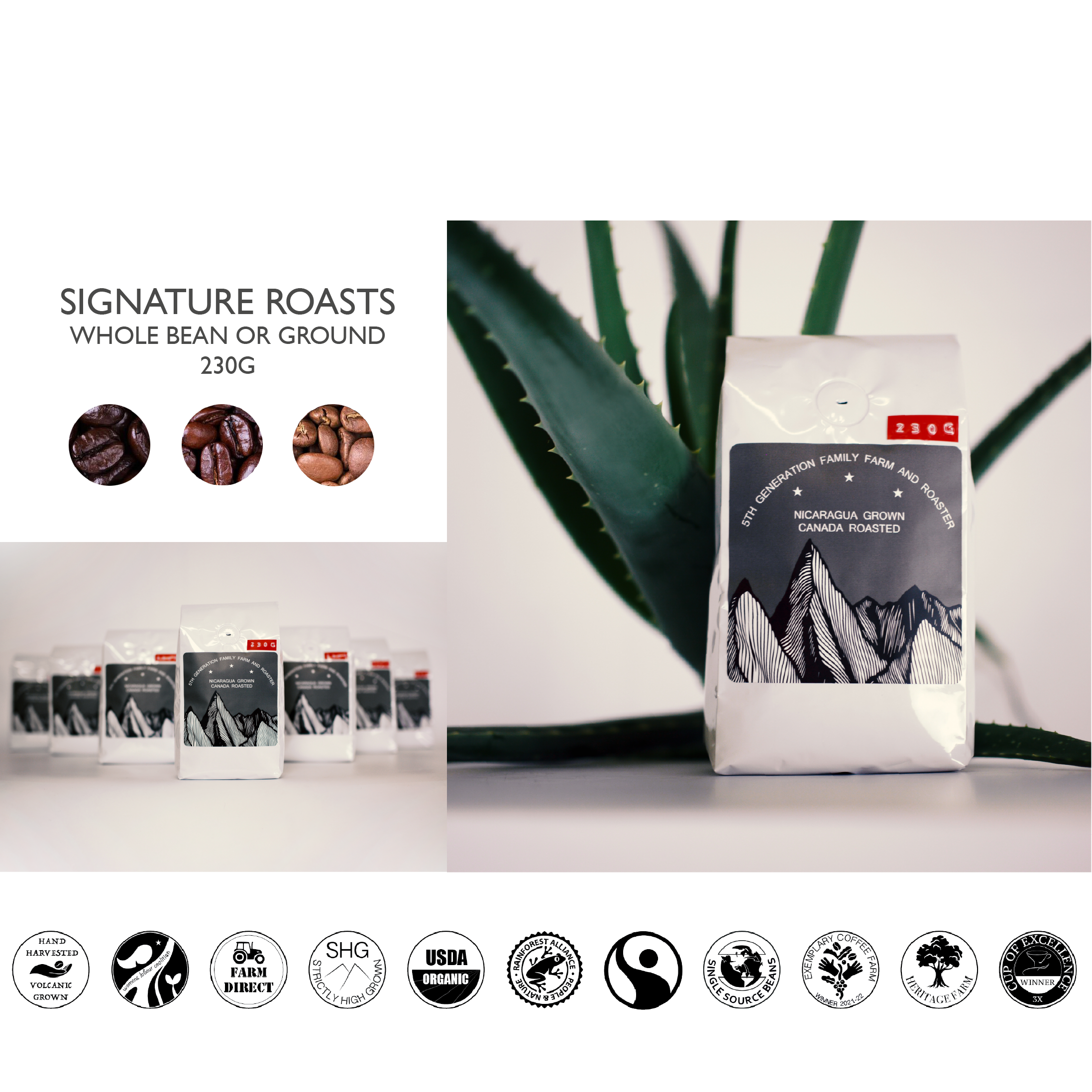 SIGNATURE ROASTS 230G