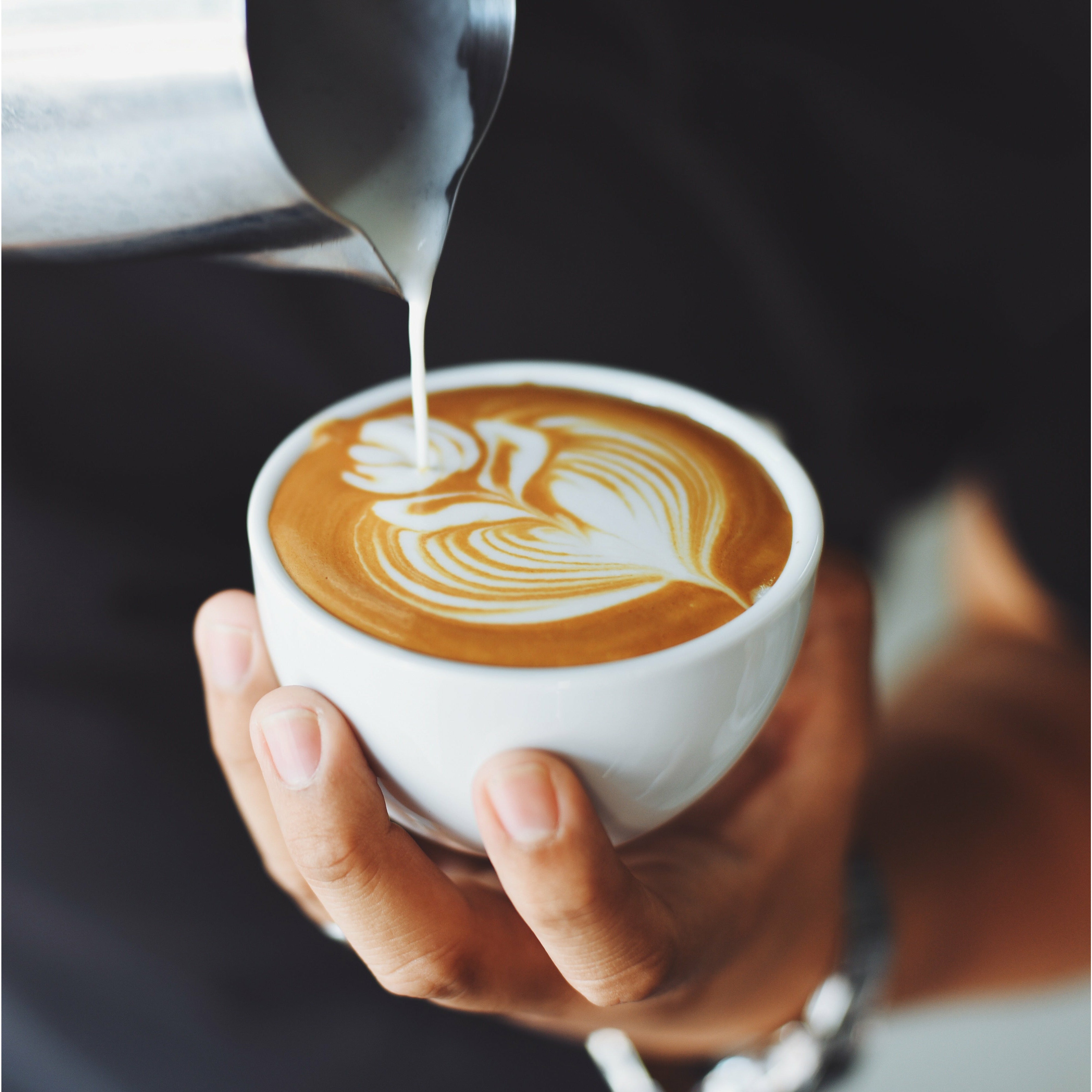 FRESH BREW PACKETS 12 PACK