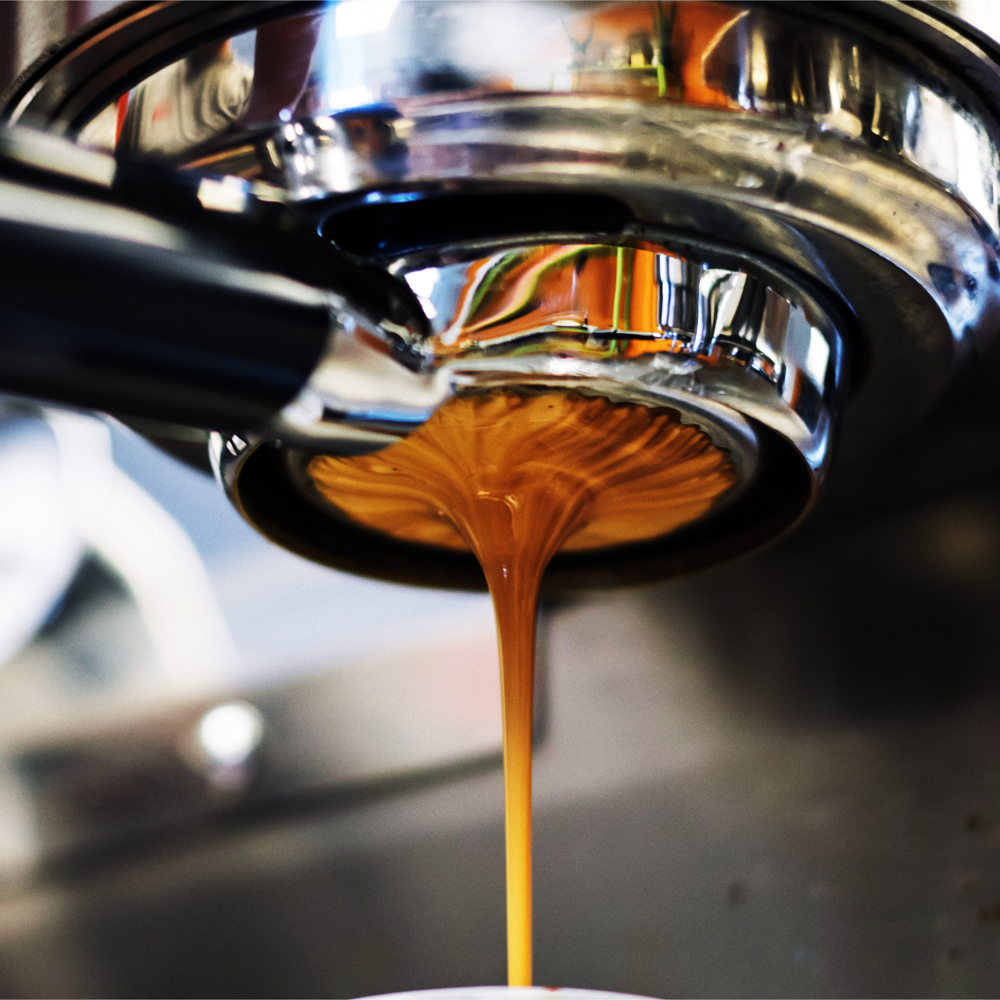 SIGNATURE ROASTS 2.5 LB